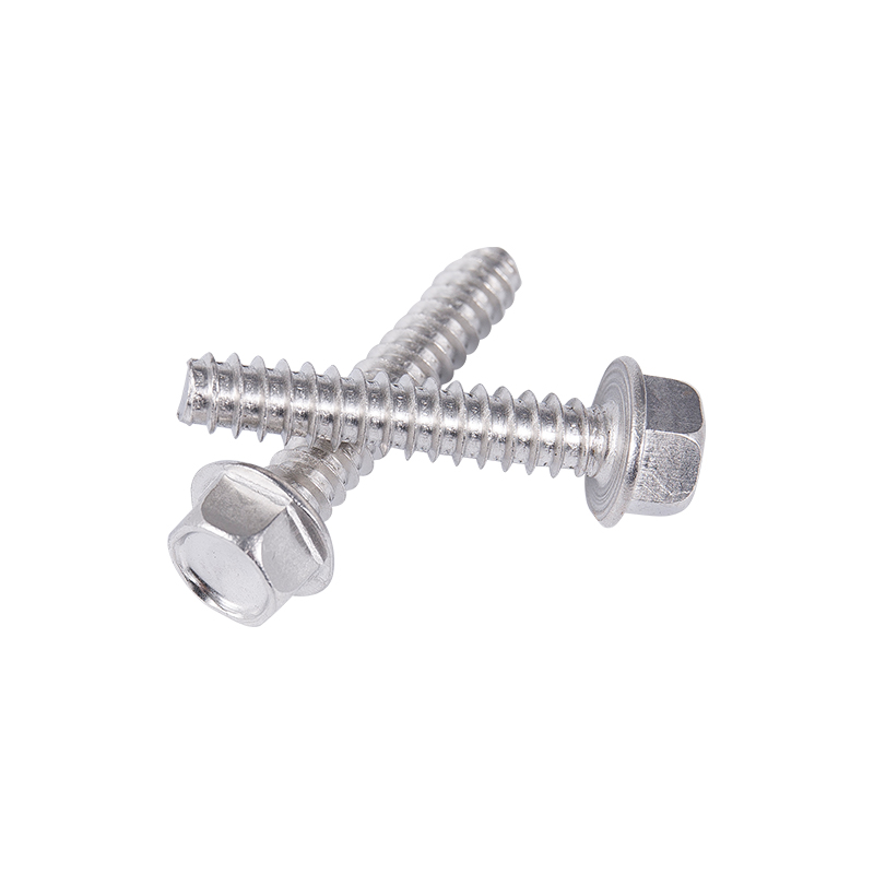 C1022A SUS410 SUS304 SUS316 lapos farok